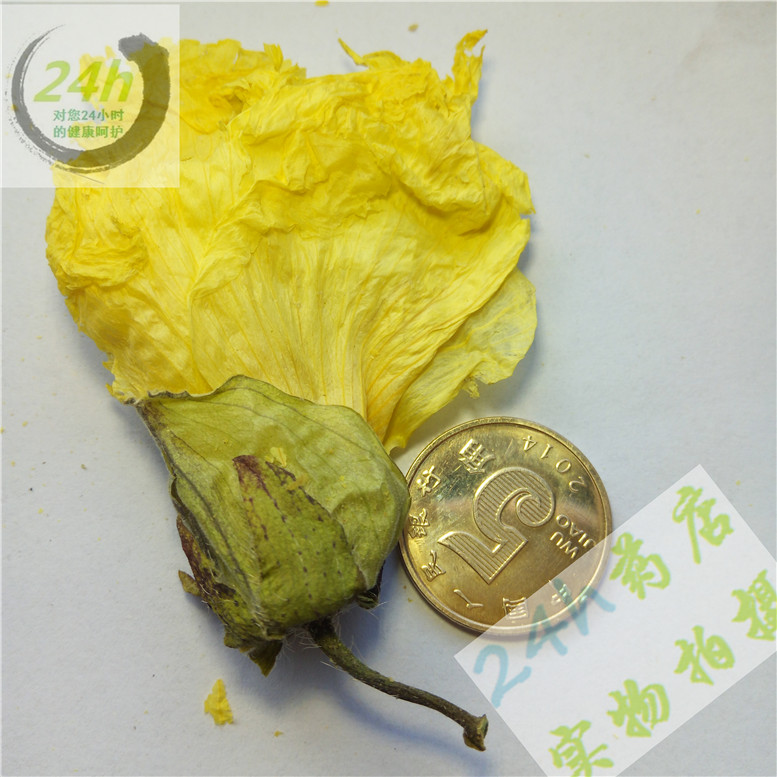 黄蜀葵花65奇~15_副本.jpg