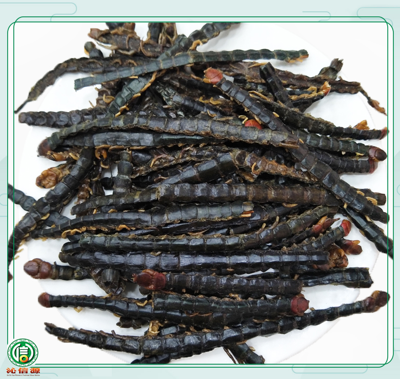 wugongroutong011.jpg