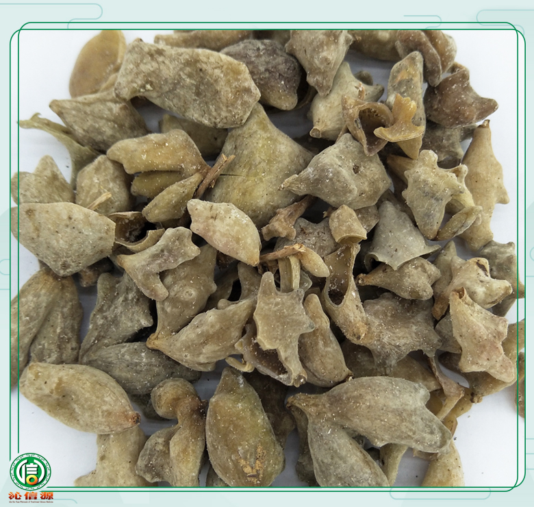 wubeizijiaobei010.jpg