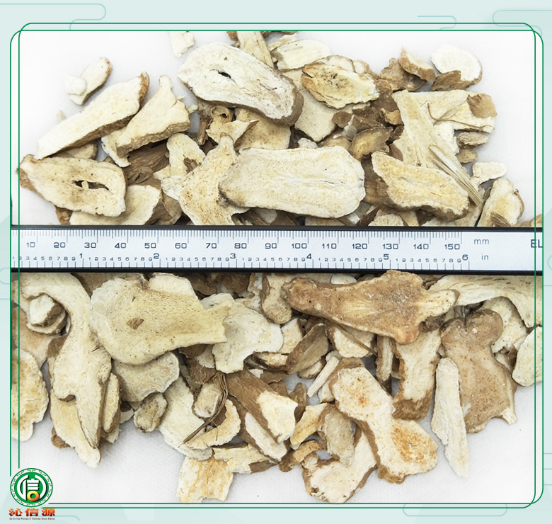 baizhuxiaotongpian08.jpg