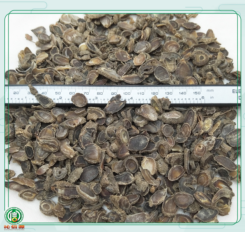 chuanyujintongpian08.jpg