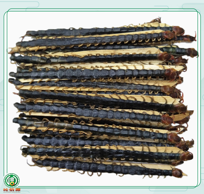 wugong13dao14lim011.jpg