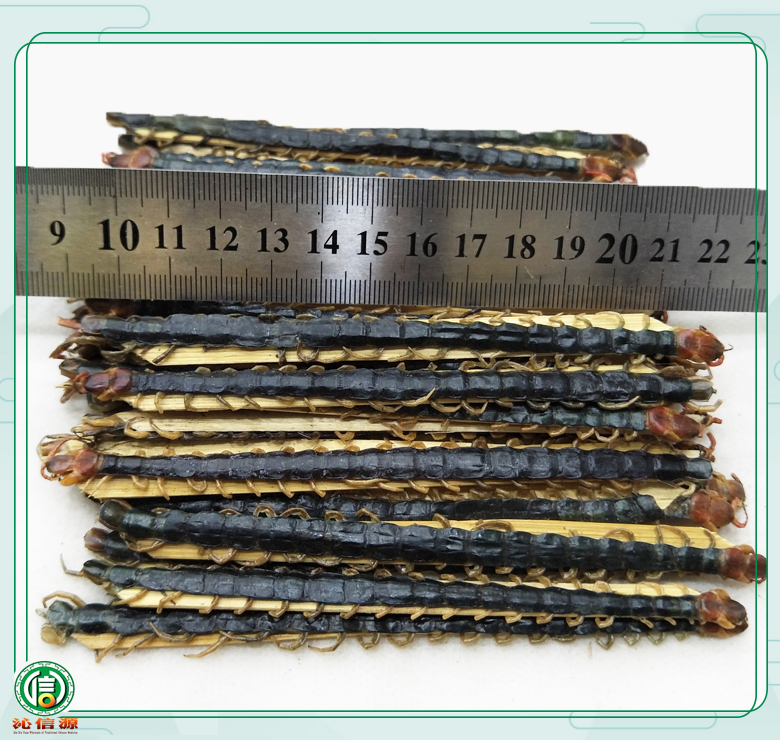 wugong13dao14lim08.jpg