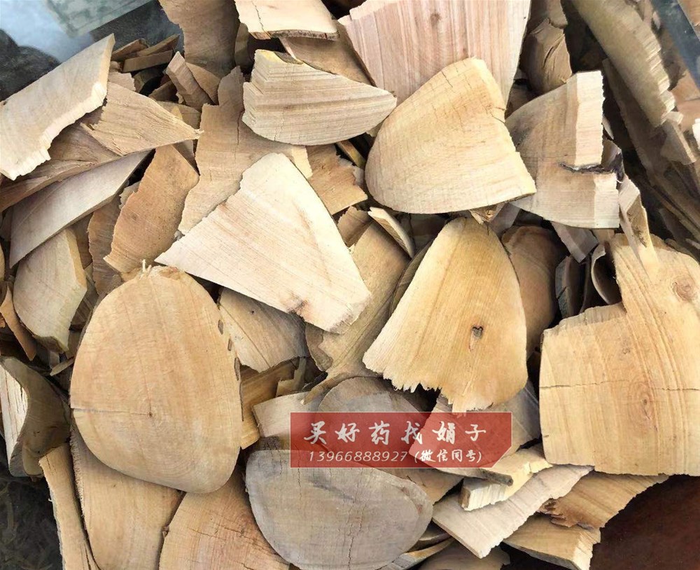 山茶根12 (1).jpg