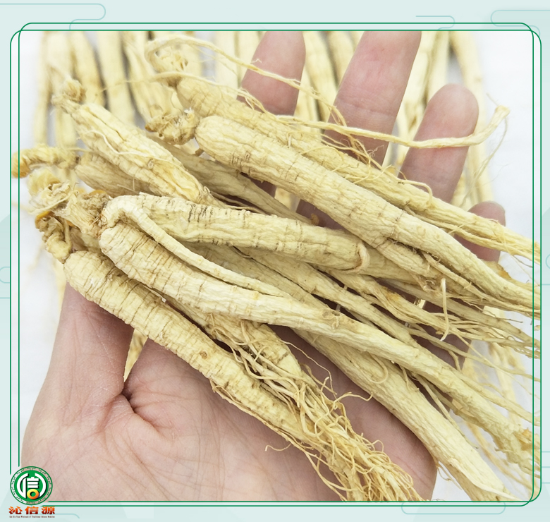 rensheng±120zhi09.jpg