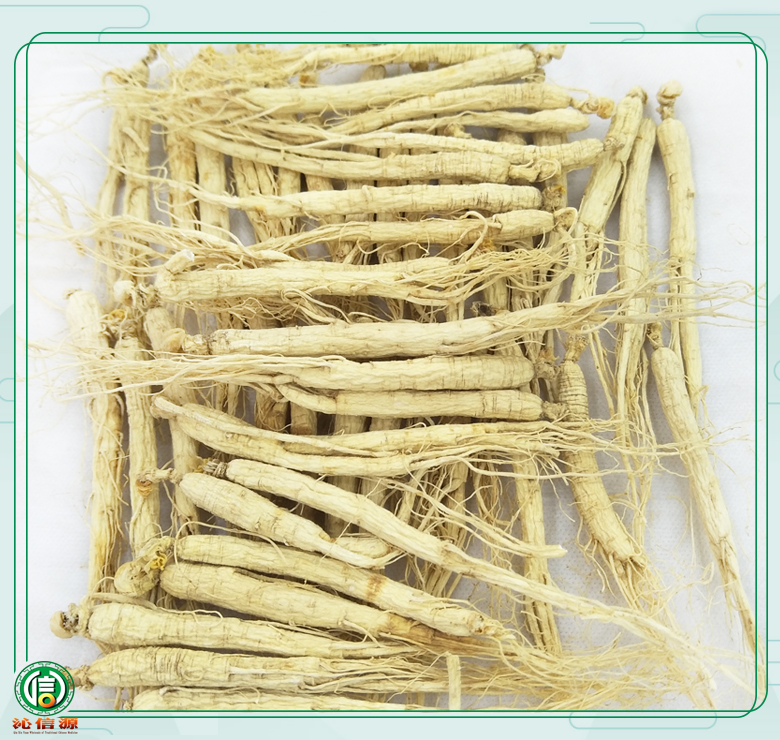 rensheng±120zhi010.jpg