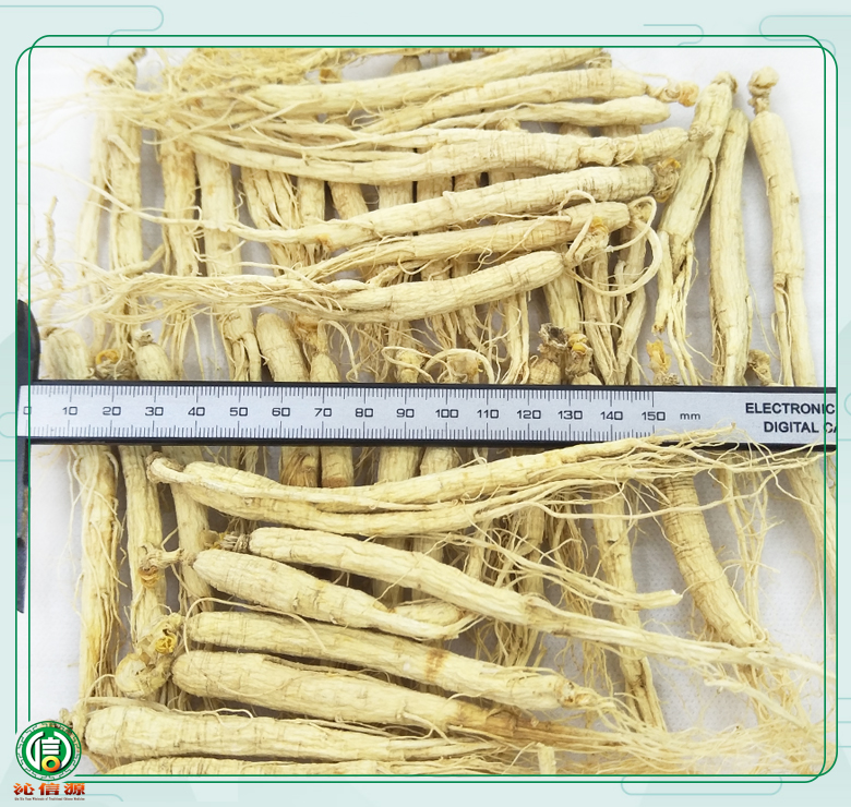 rensheng±120zhi08.jpg