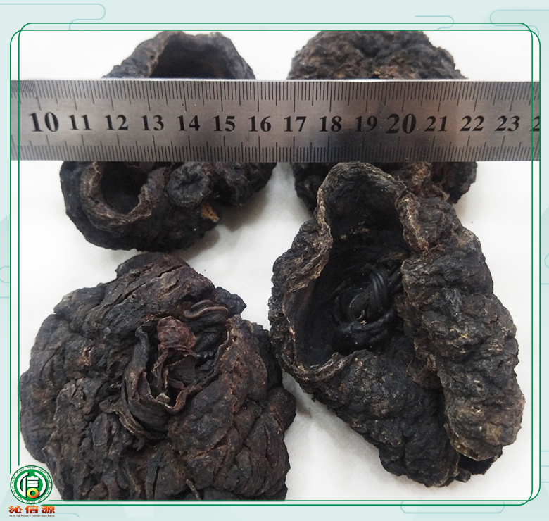 zihechedaixuexuan08.jpg