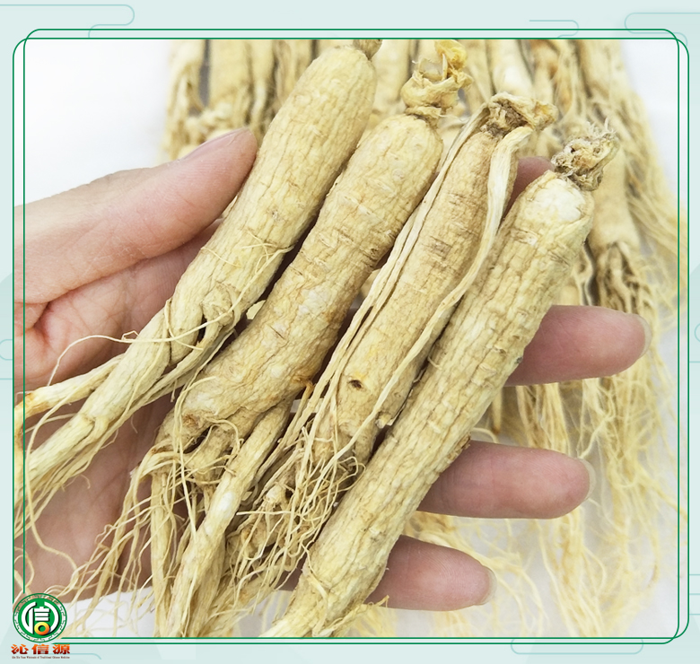 rensheng±45zhi09.jpg