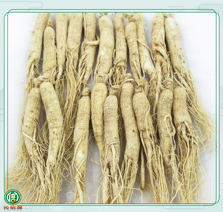 rensheng±45zhi013.jpg