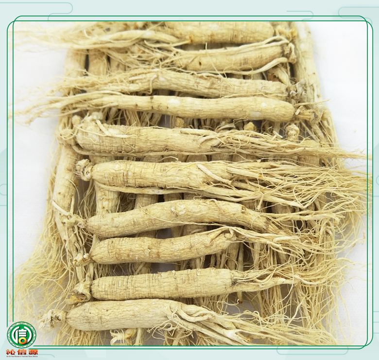 rensheng±45zhi08.jpg