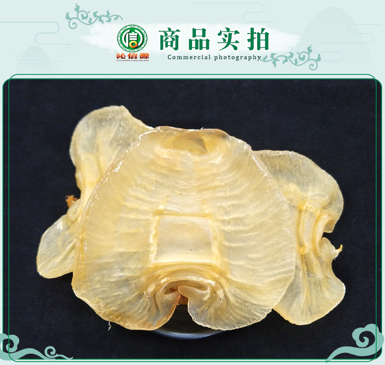 chizuigongdu150de07.jpg
