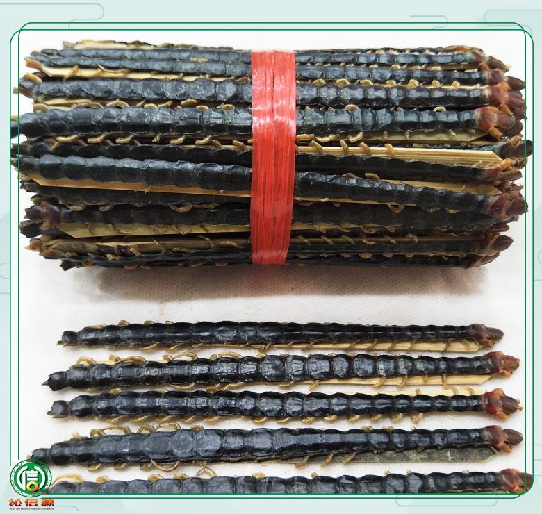 wugong15dao16lim010.jpg