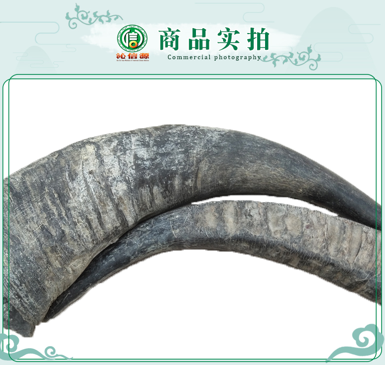 shuiniujiaozhonggedage07.jpg