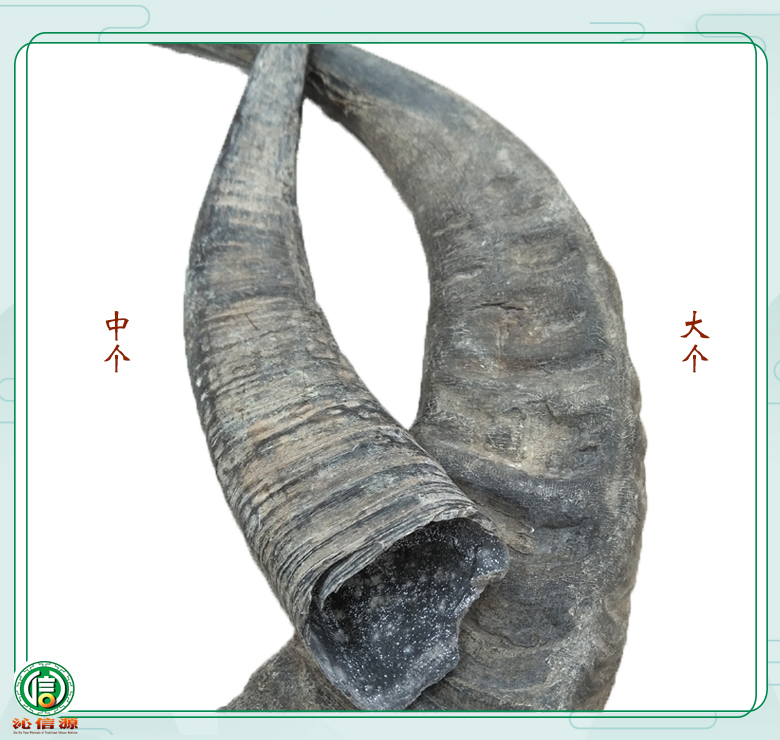 shuiniujiaozhonggedage011.jpg