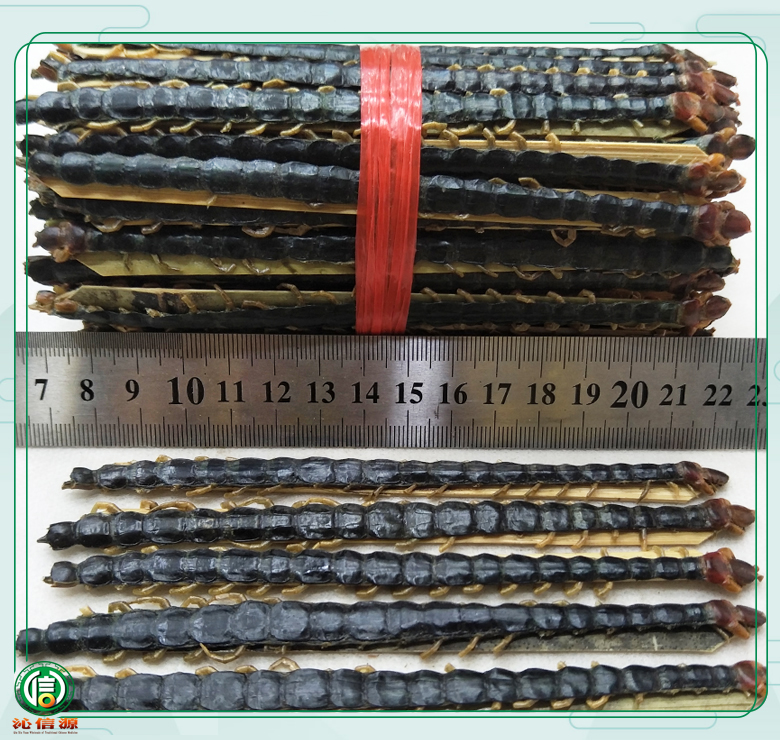 wugong16dao17lim08.jpg