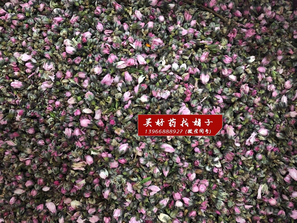 桃花 73.jpg