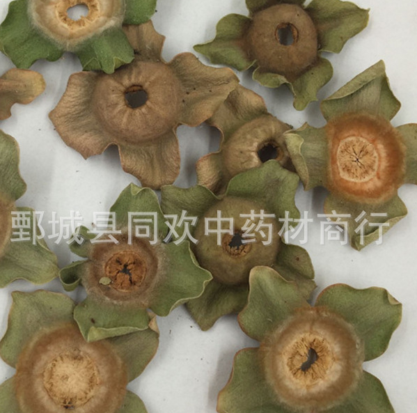 QQ截图20191209224959.png