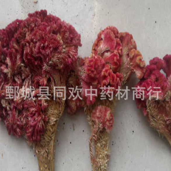 QQ截图20191206234206.png