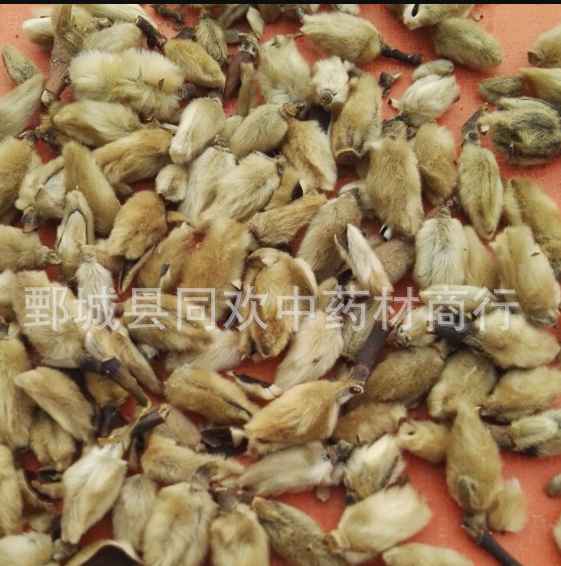 QQ截图20191209231613.png