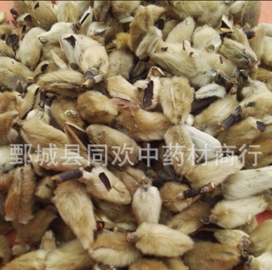 QQ截图20191209231623.png