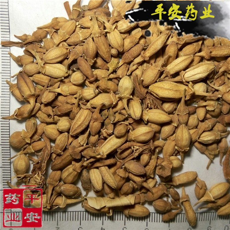 佛手花170奇~01_副本.jpg