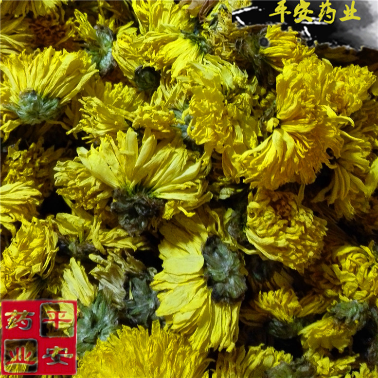 黄菊51_副本.jpg