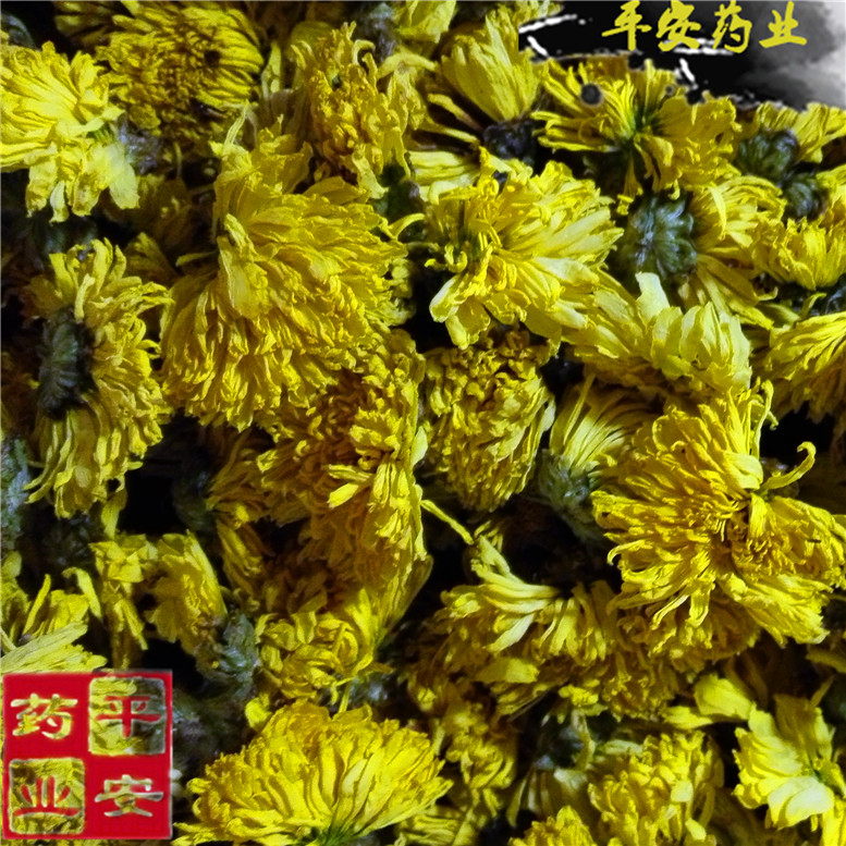 黄菊_副本.jpg