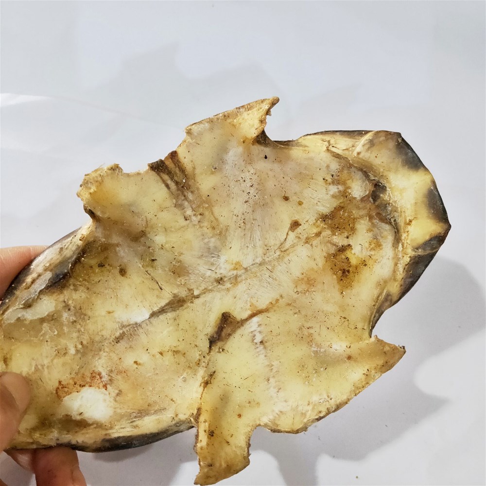 QQ图片20190419134926.jpg