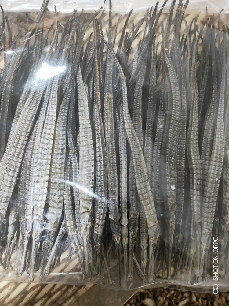 QQ图片20190304220258.jpg