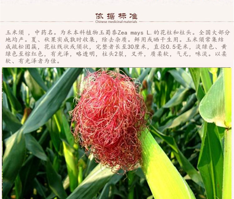 玉米须5.jpg