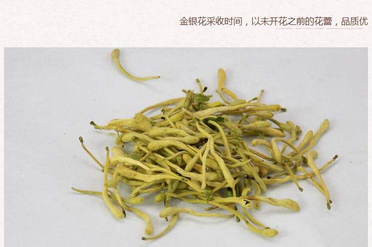湖南金银花4.jpg