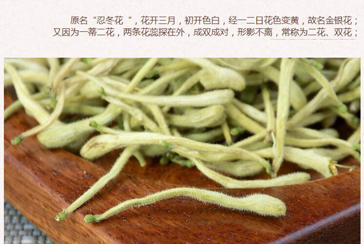 湖南金银花3.jpg