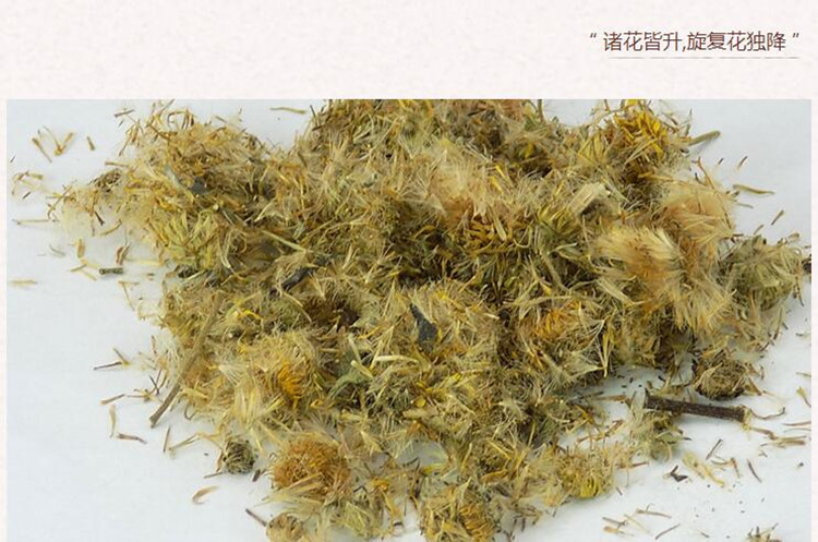 旋覆花3.jpg