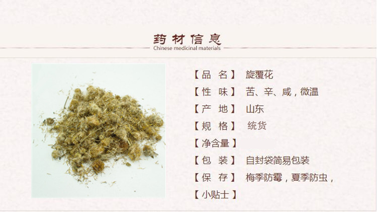 旋覆花1_副本.jpg