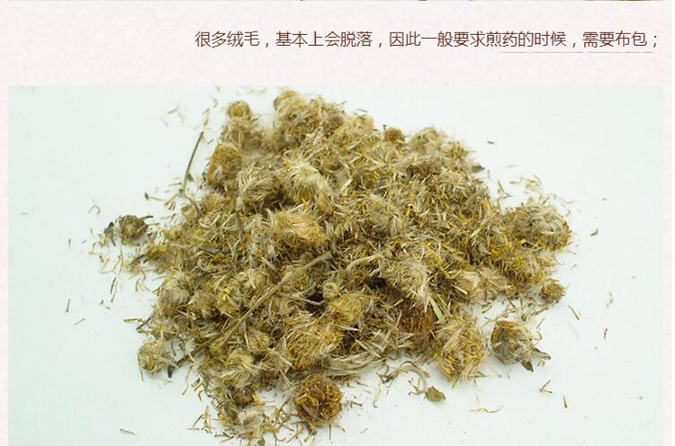 旋覆花4.jpg