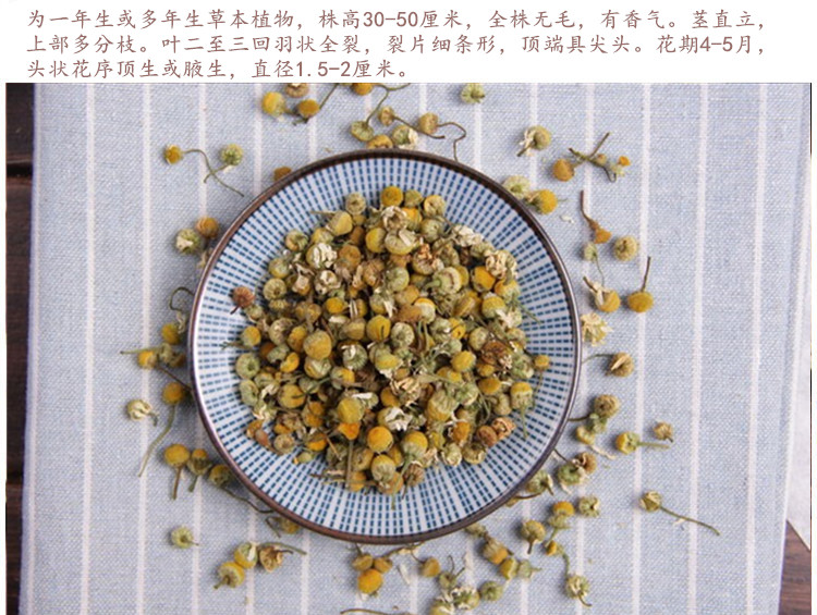洋甘菊4.jpg