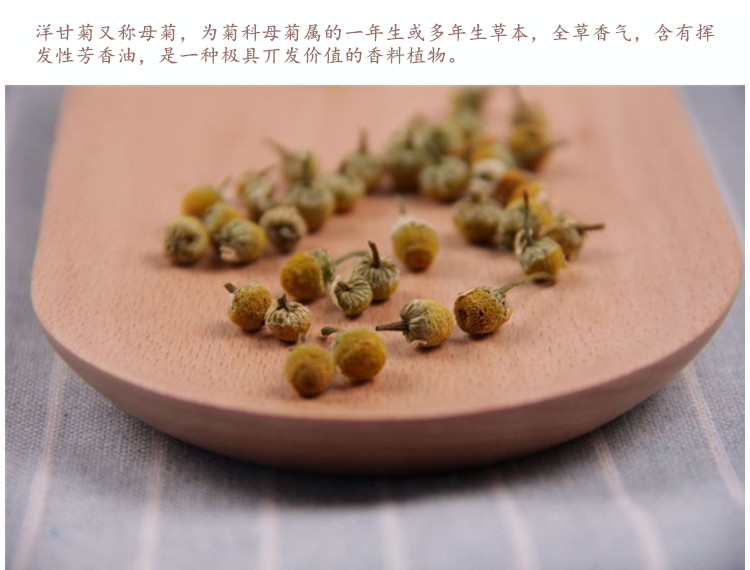 洋甘菊3.jpg
