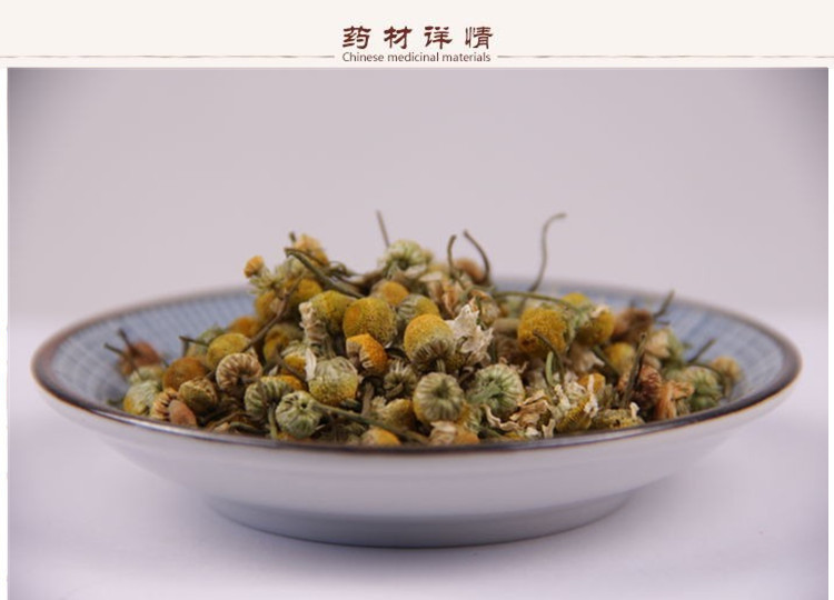 洋甘菊2.jpg