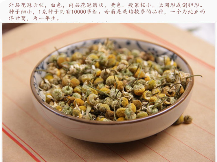 洋甘菊5.jpg