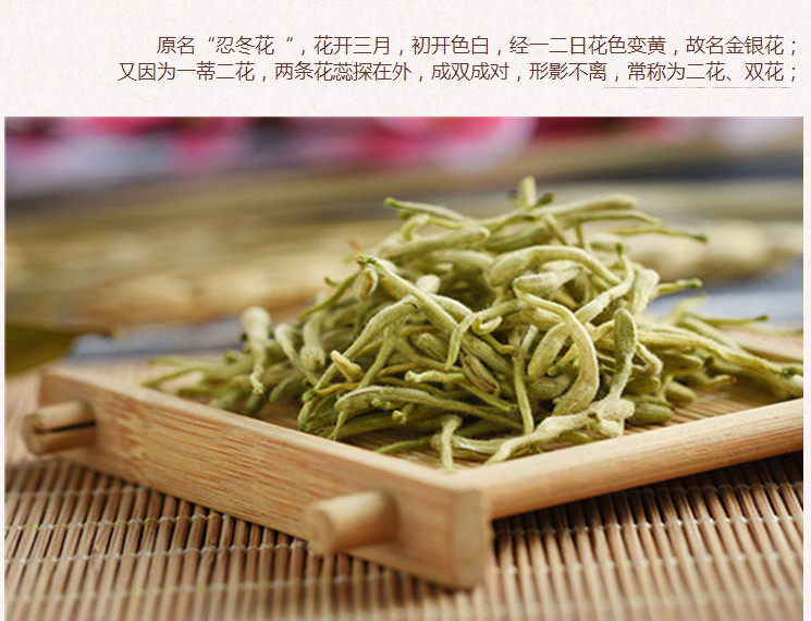 山东金银花3.jpg