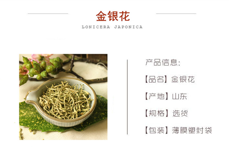 金银花.jpg