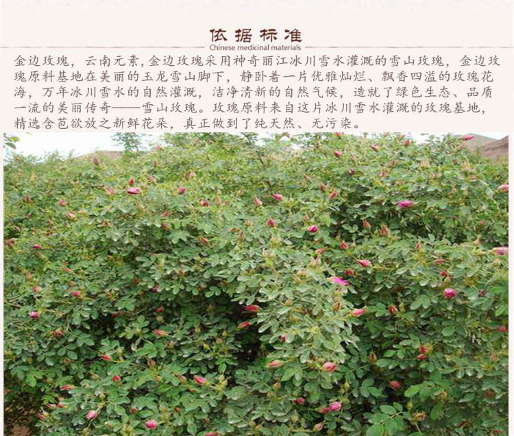 详情首图.jpg