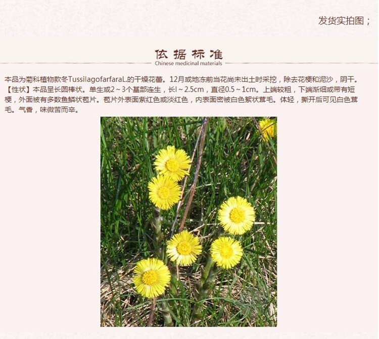 款冬花7.jpg