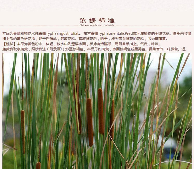 蒲黄2.jpg