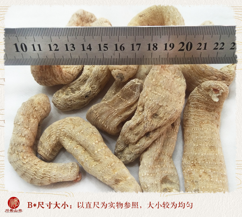 cstcssntiaozimayiji30dao40kemeige09.jpg