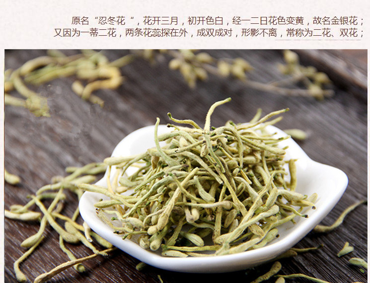 河北金银花3.jpg