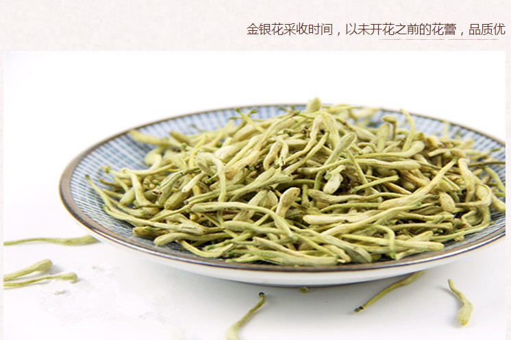 河北金银花4.jpg