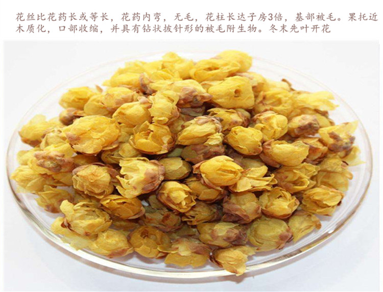 腊梅花5.jpg