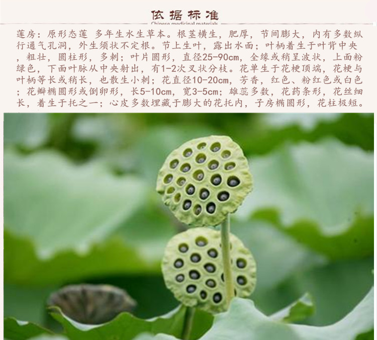 莲房9.jpg
